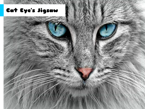 Cat Eye's Jigsaw