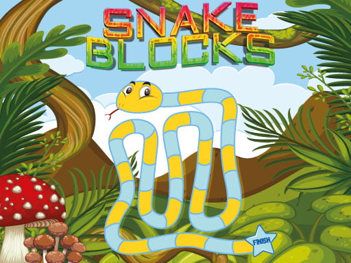 Snake Blocks