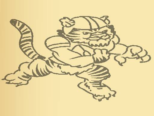 Tiger Coloring Book